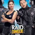 Raid Dingue de Dany Boon