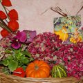 des compositions automnales ...." fleurs et fruits d'automne "