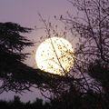 Pleine lune au parc Montsouris