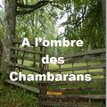 A L'OMBRE DES CHAMBARANS - VALERIE SATIN.
