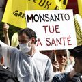 C - D_Critique sur le film de Monsanto