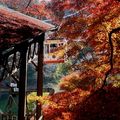 Yoshino: le tramway aérien...