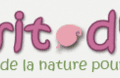 Un site pour les bébés natures : ESPRIT D'ELFE ! 