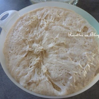 PATE A PIZZA LEVEE 48 HEURES