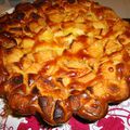 *** Cake pommes-cannelle ***