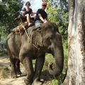 balade à dos d'éléphant