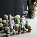 Le monde entier est un cactus... au crochet !! ...ou ma cactusmania DIY !