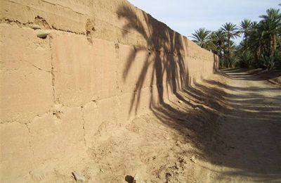 Le Maroc... de la palmeraie d’Ait Issfoul aux dunes rouges de Bougayoir