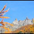 Couleurs d'automne à Ailefroide..