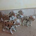 Cu680 : Figurines dalmatiens