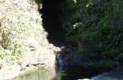 les lavatubes, sortie avec la brasserie de tahiti