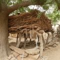 Pays Dogon   Ende