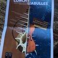 Conchyliabulles - Creil - 03 2022 -