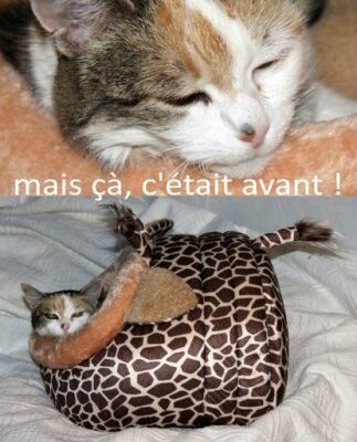 UNE PAGE DE (fausse) PUB !