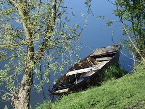 Sur les rives du Cher à Tours le 9 avril 2025