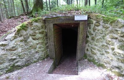 Le musée de plein air du Ravin du Génie ou Ravin des Sept Fontaines