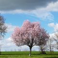Ciels du Lundi (238)