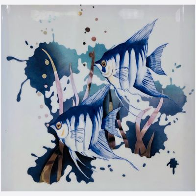 Clap de fin pour les angelfishes