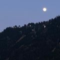 Le temps des fleurs - Bientôt, la lune sera pleine de lunes… La lune est ronde…