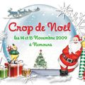 Crop de Noel 2010 à Nemours (77)