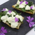 Bruschetta à la mauve