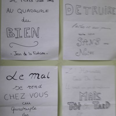 Sentir pour comprendre