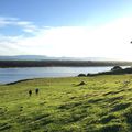 Happy Birthday to the Queen ! Tauranga, New Zealand