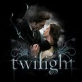 Premiers résultats du film Twilight en France