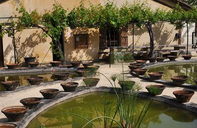 Le jardin des nénuphars de Latour-Marliac