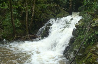 le ruisseau et ses cascades