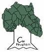 Feugham vision
