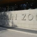 Visite au zoo de Dublin