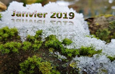 2019_01 en janvier ? l'hiver continue ...