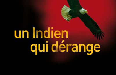  Un Indien qui dérange; Thomas King, un auteur améridien à (re)découvrir 