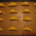 Mini-croissants "minute" au fromage