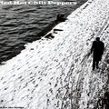 #8 _ Under the bridge - Red Hot Chili Peppers