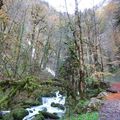 "le val de consolation" dans la belle région de Franche-Comté