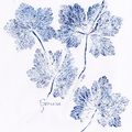 Mono printing botanique