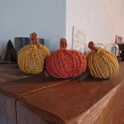 Mini citrouilles 🎃🎃🎃