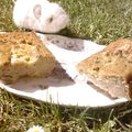 Cake aux lentilles corail