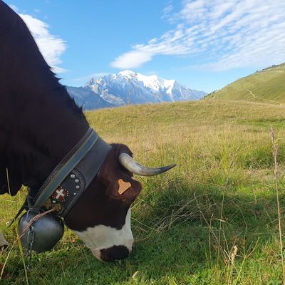 2025-07-31 Seventy : Episode 7b : Le Mont Buet