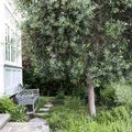  le printemps : la saison qui me rend joyeuse! .............................descendre dans mon jardin , profiter de l'air doux, 