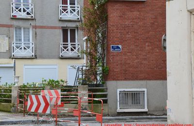 01/08/13 : Une rue qui porte bien son nom