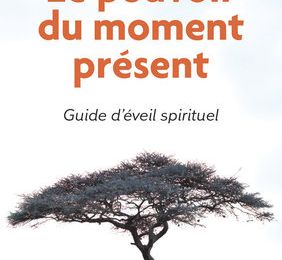  Le vendredi c'est Cult– ah nan… Le Pouvoir du moment présent – Eckhart Tolle