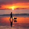 couché de soleil sur la plage