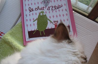 Le Chat d'Elsa - Alice Brière-Haquet et Magali Le Huche