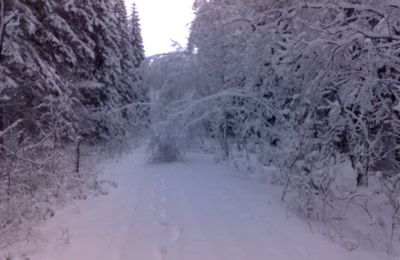 billet hivernal....avec une toute petite pensée de printemps....