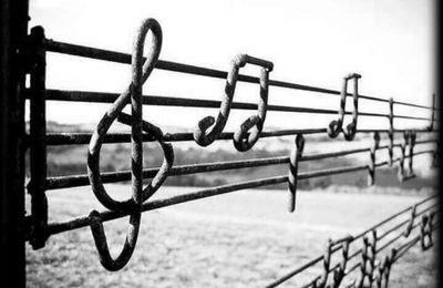 SI LA MUSIQUE DOIT MOURIR