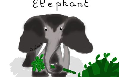 Eléphant & Autruche