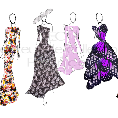 Papillon ✿ Papillon ✿ Papillon 